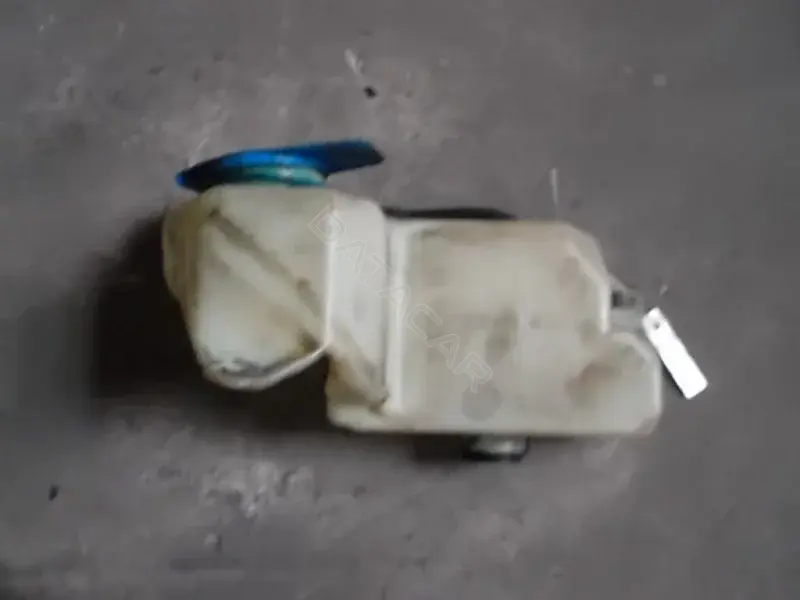 Бачок омывателя 10046011