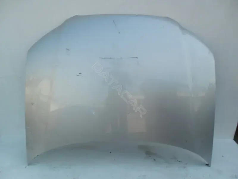 Капот 10023023