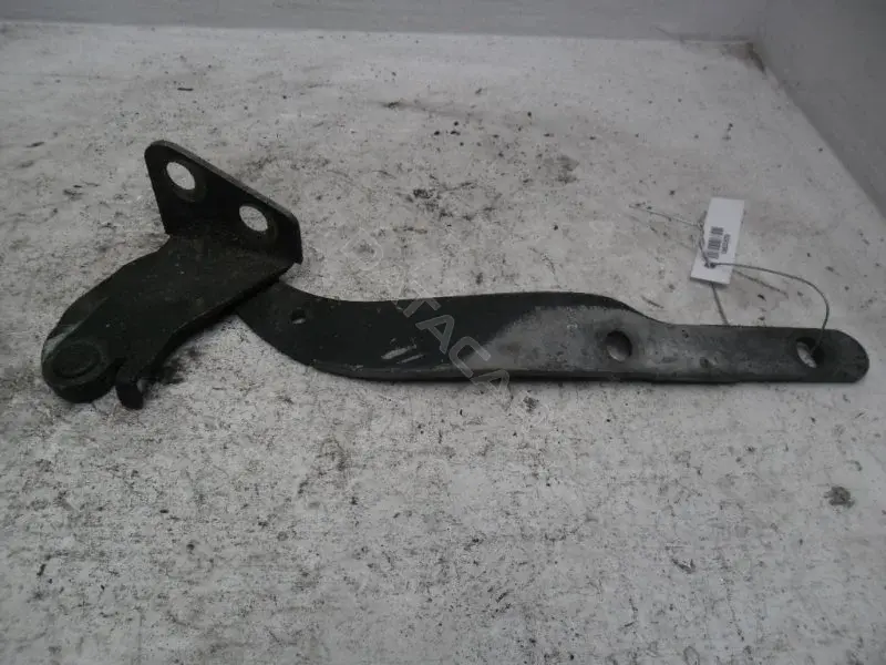 Петля капота 10021976