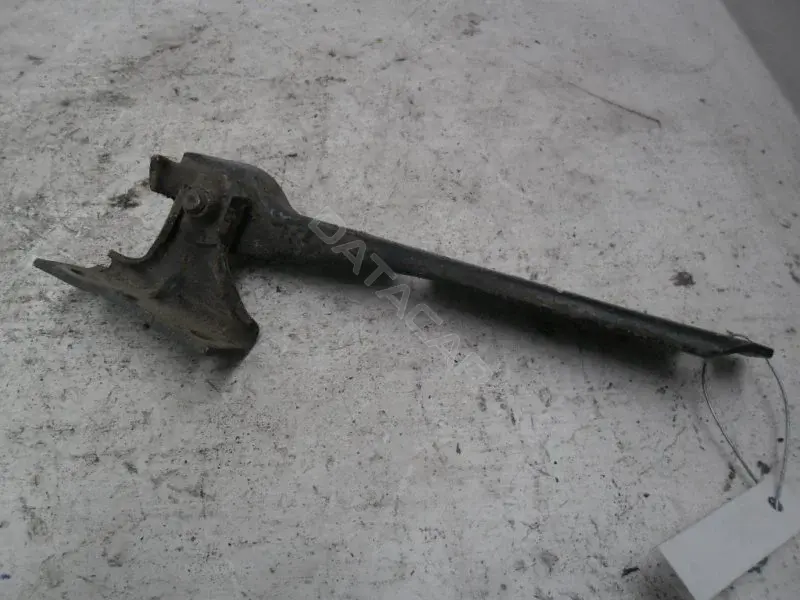 Петля капота 10021324