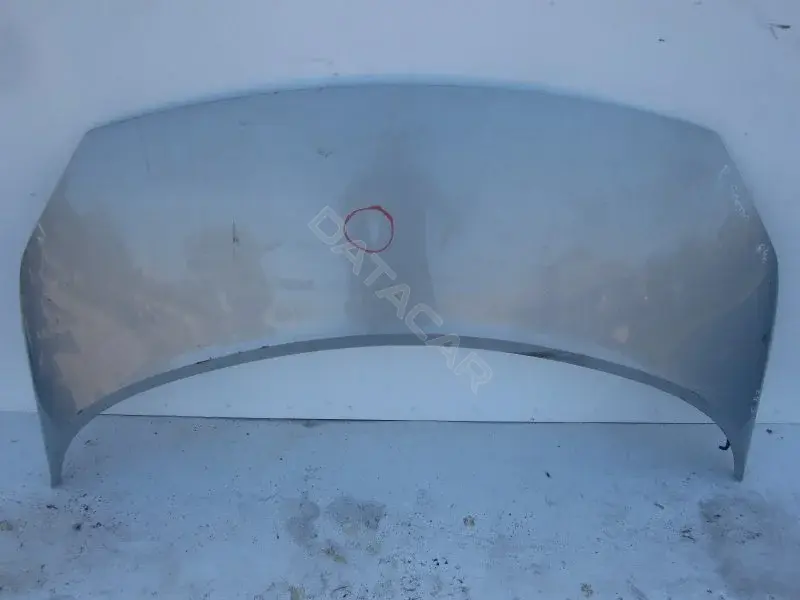 Капот 10012594