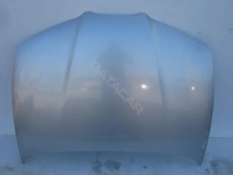 Капот 10012247