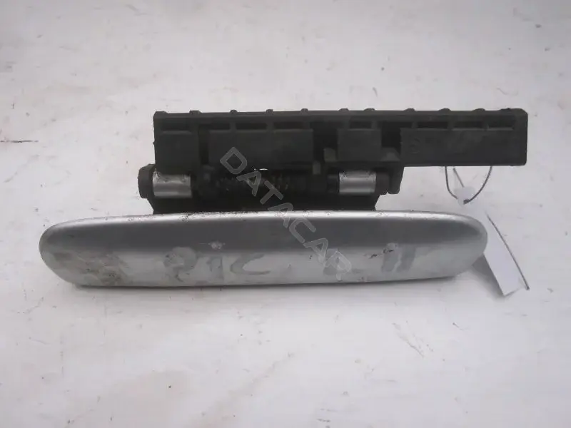 Ручка двери 10011497