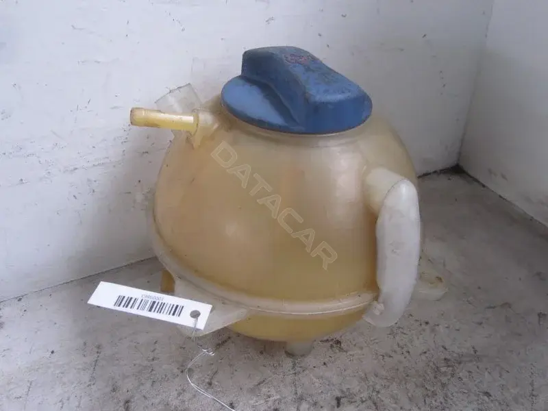 Расширительный бачок 10009863