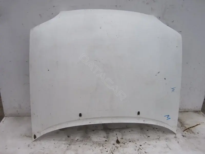 Капот 10009677