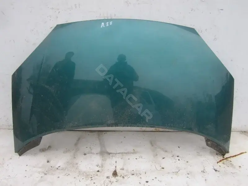 Капот 10005944