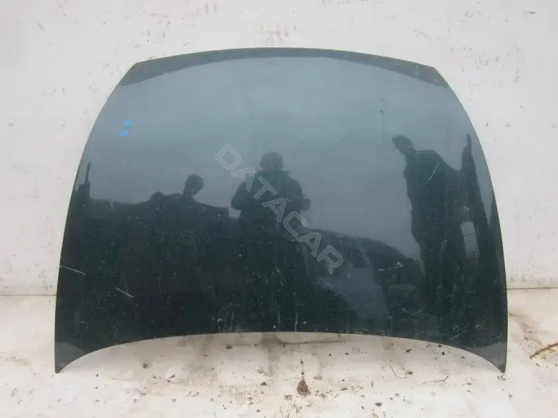 Капот 10005316