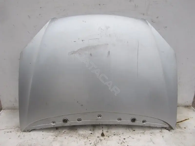 Капот 10005265