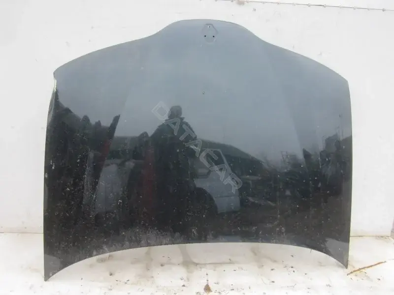 Капот 10005163