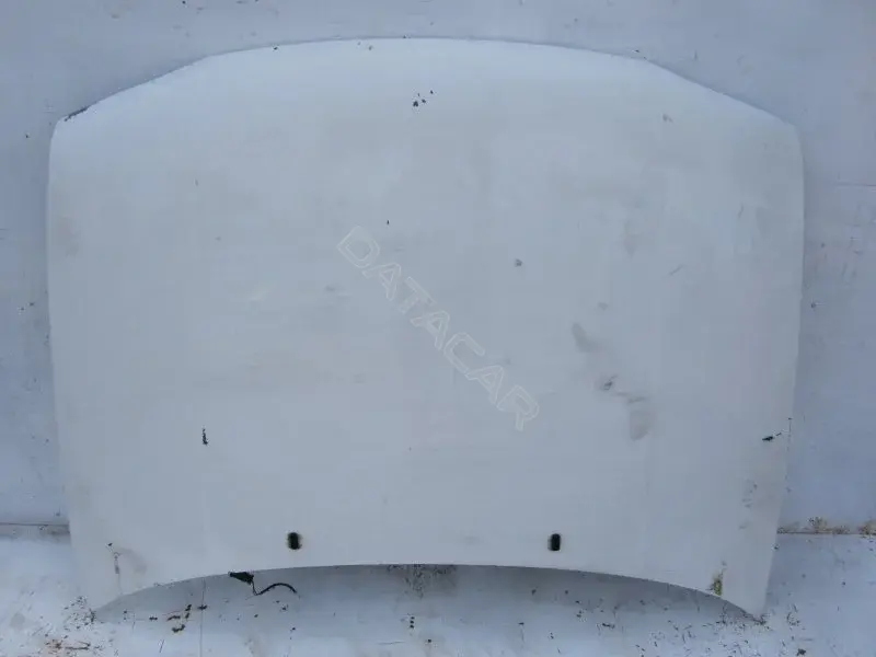 Капот 10004474