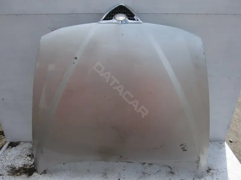 Капот 10004004