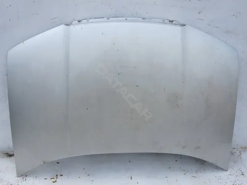 Капот 10003786