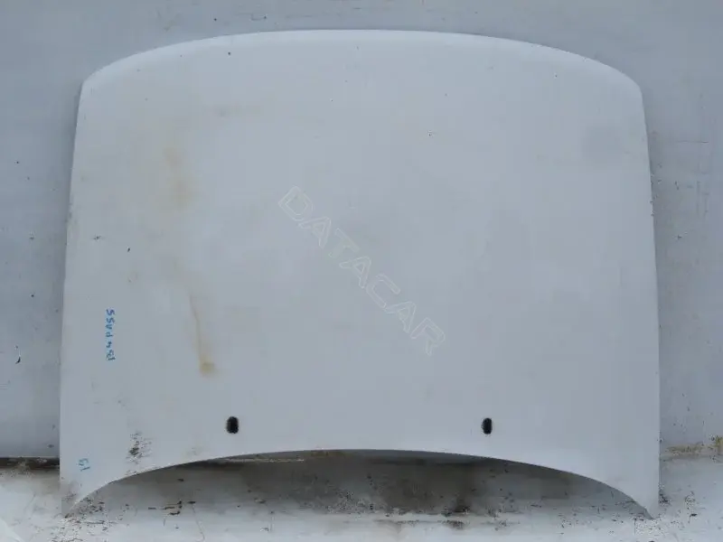 Капот 10003743