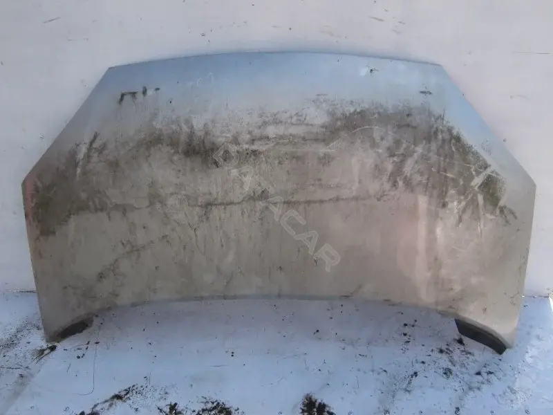 Капот 10003703