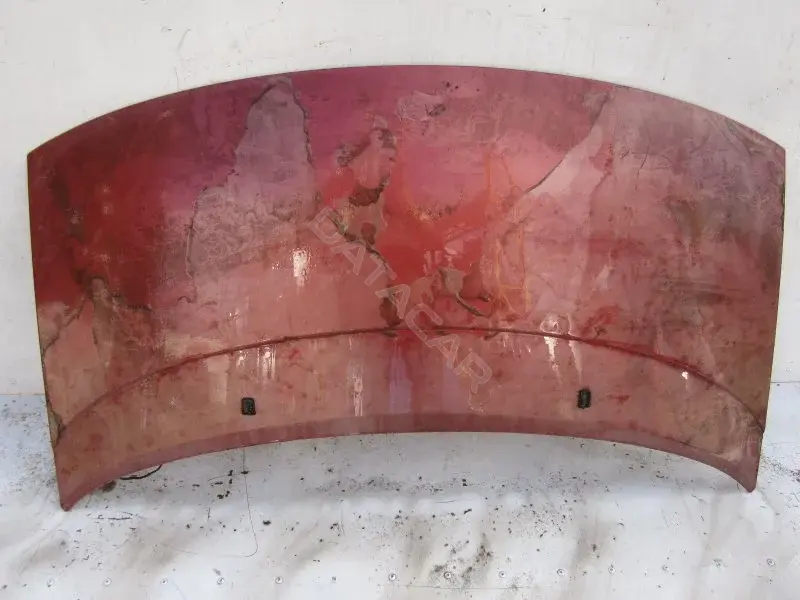 Капот 10003699
