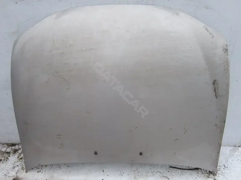 Капот 10003554