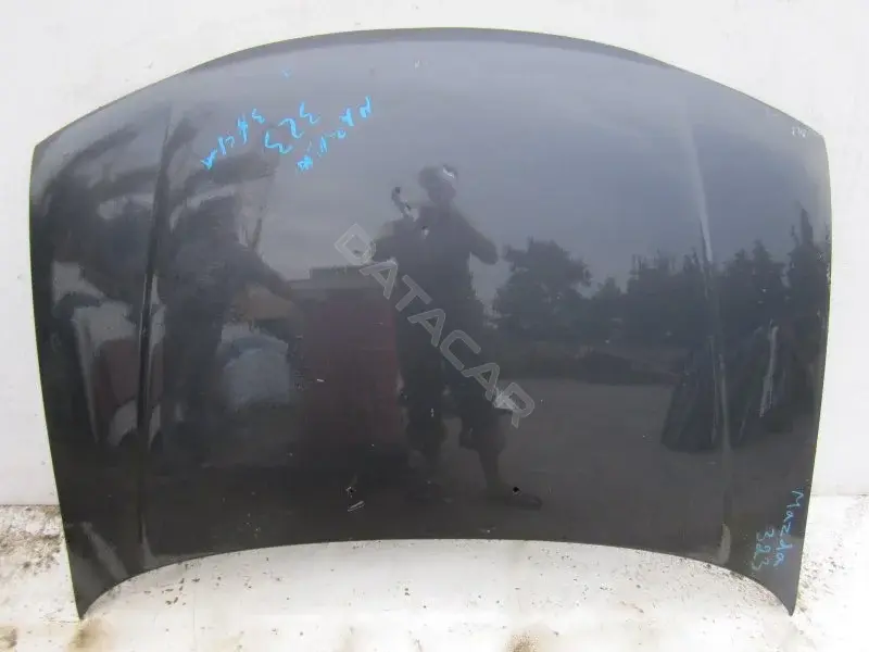Капот 10003538