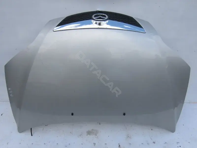 Капот 10003176
