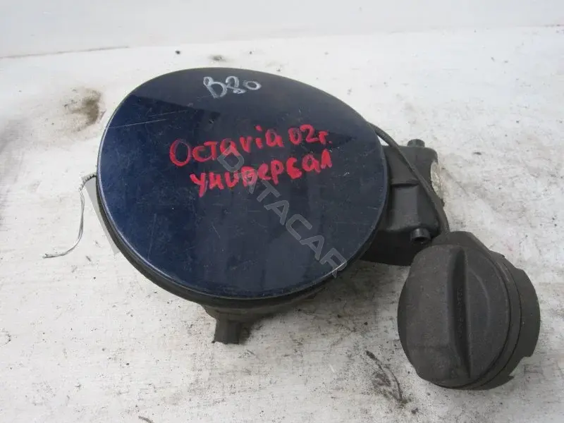Крышка лючка топливного бака 10000104