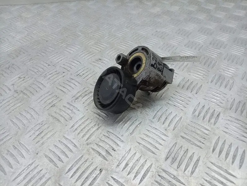 Натяжитель ремня генератора 117503662R