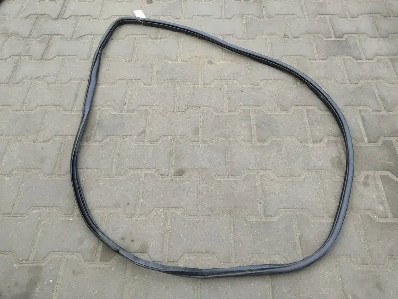 Уплотнитель двери 10352790