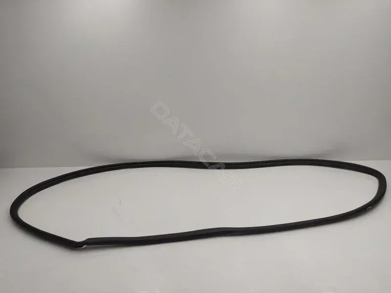 Уплотнитель двери 10345007