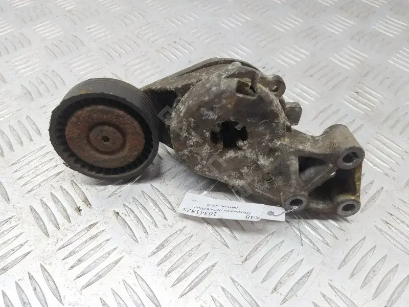 Натяжитель ремня генератора 06A903315E