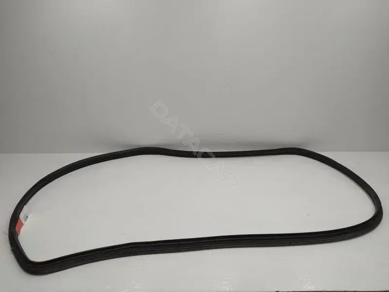 Уплотнитель двери 10314018