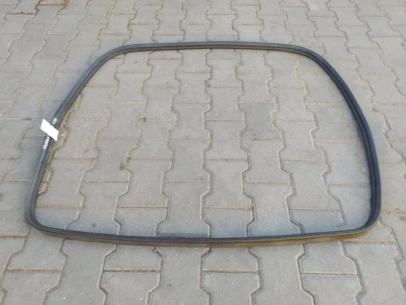 Уплотнитель двери 10313642