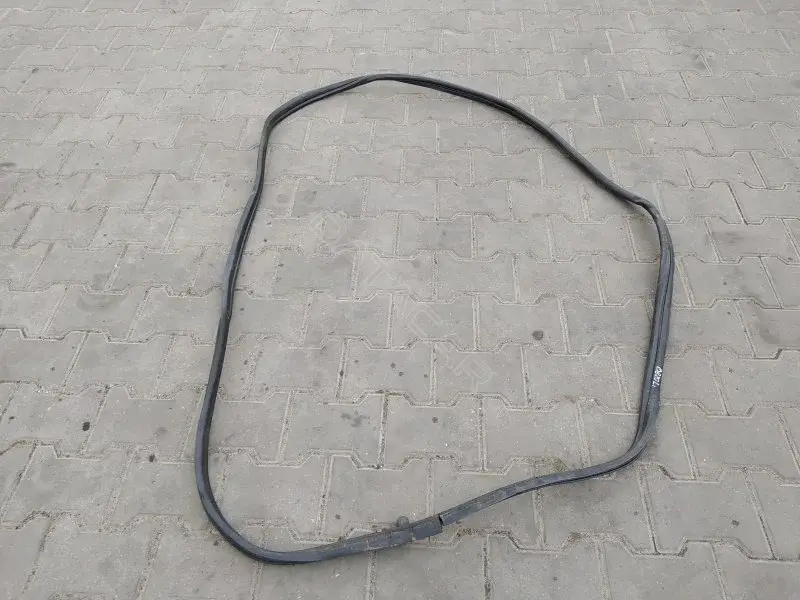 Уплотнитель двери 10214959