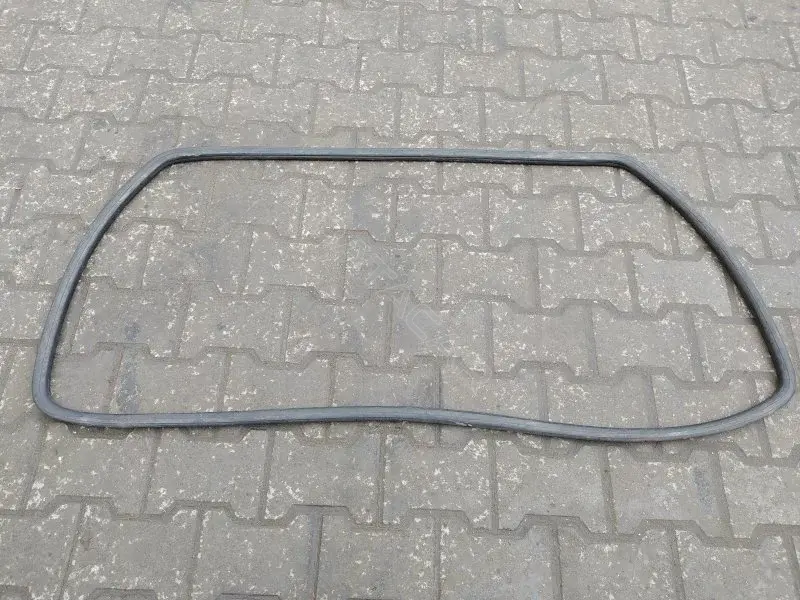 Уплотнитель двери 10207477