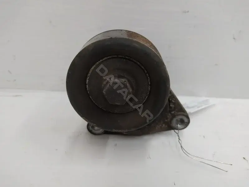 Натяжитель ремня генератора QJ310412
