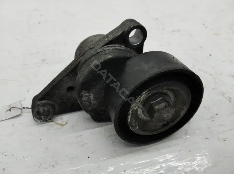 Натяжитель ремня генератора E5025A110530