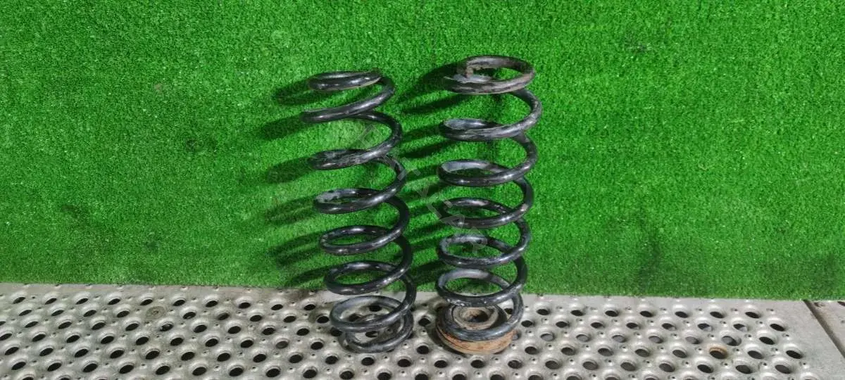 Пружины R10305