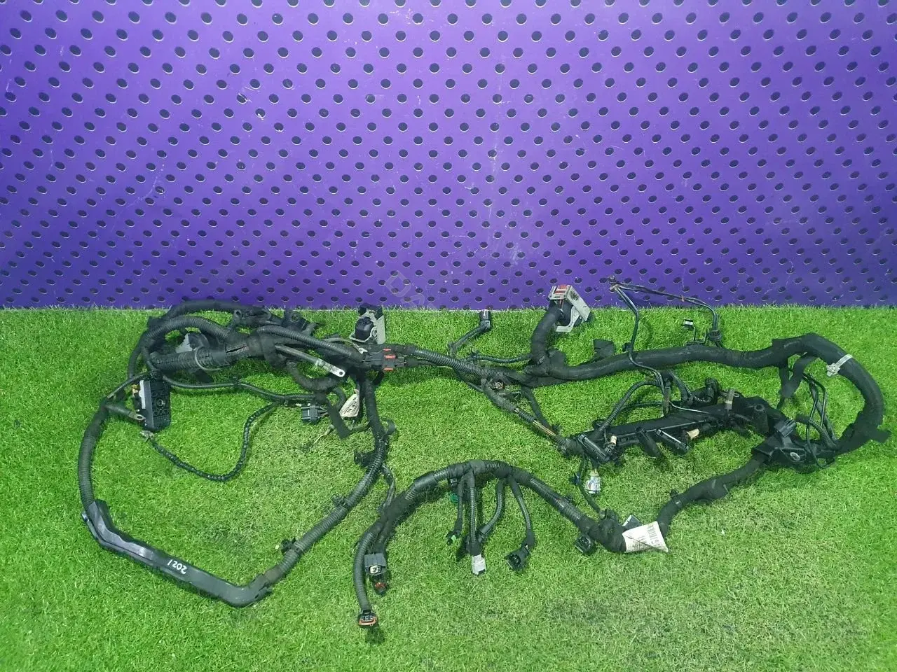 Проводка двигателя 0981318520