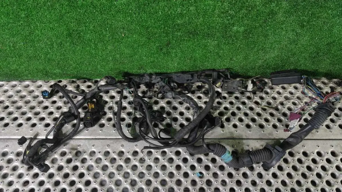 Проводка двигателя A646 150 02 33