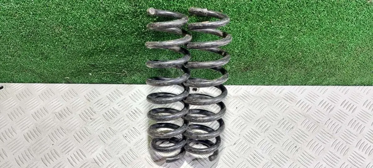 Пружины 51900317
