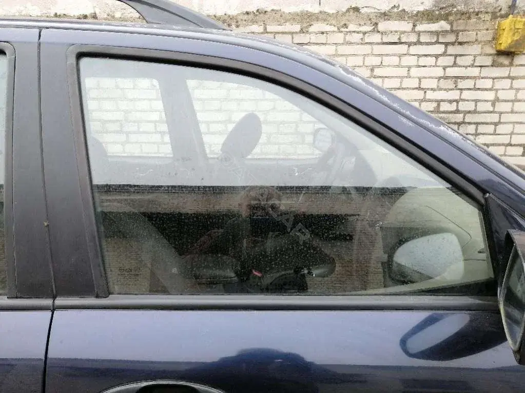Стекло двери 2945873736