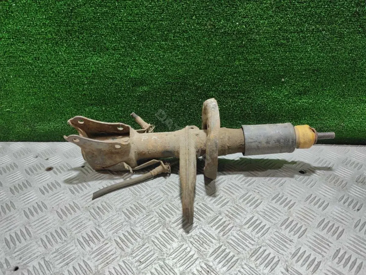 Амортизаторы 66124713
