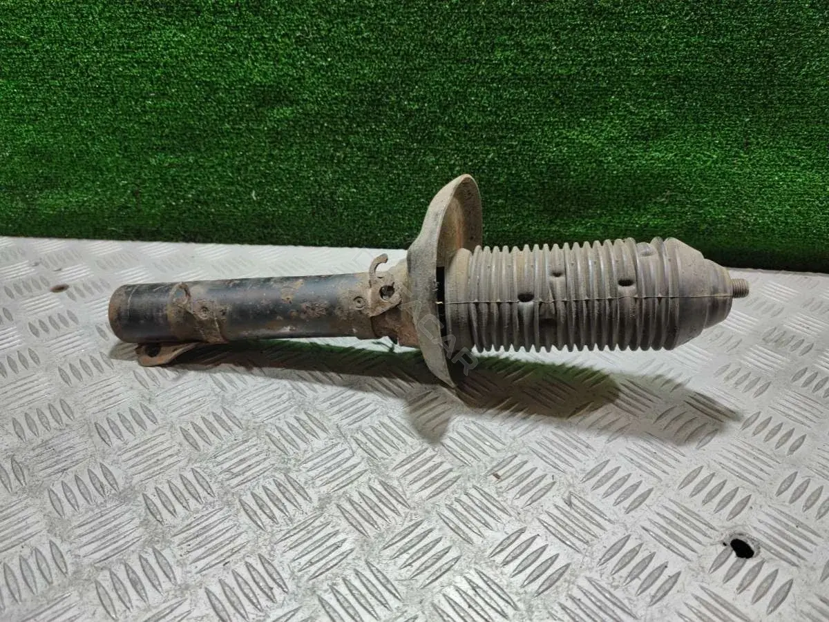 Амортизаторы 66106044