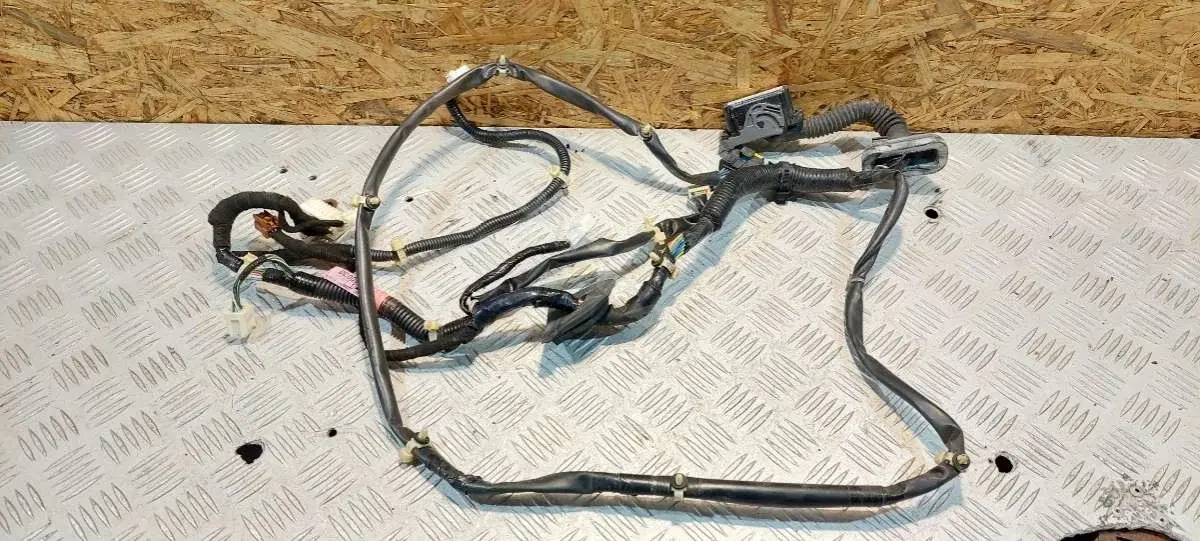 Проводка двери 24125CC000