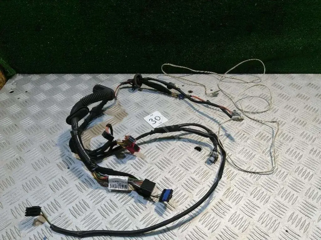 Проводка двери 8200613929A