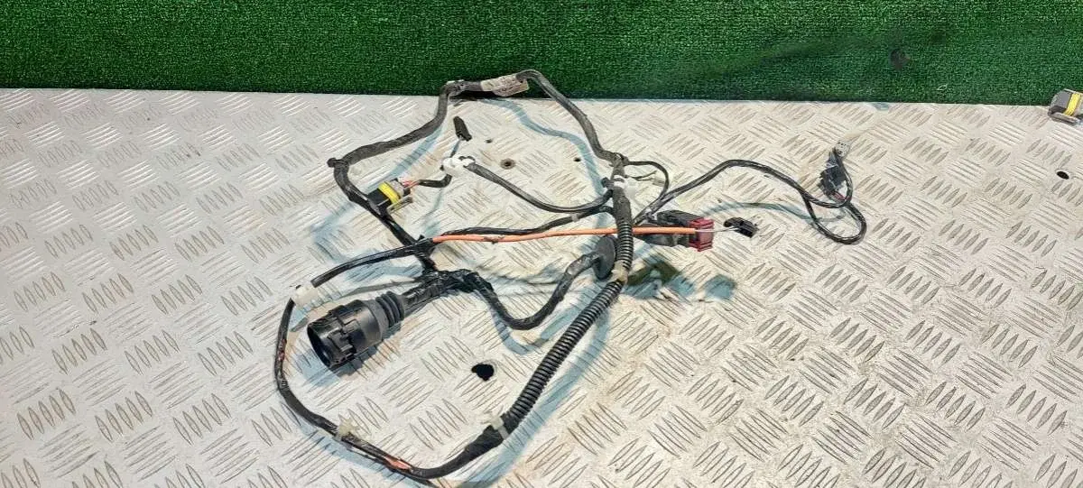 Проводка двери 09174885