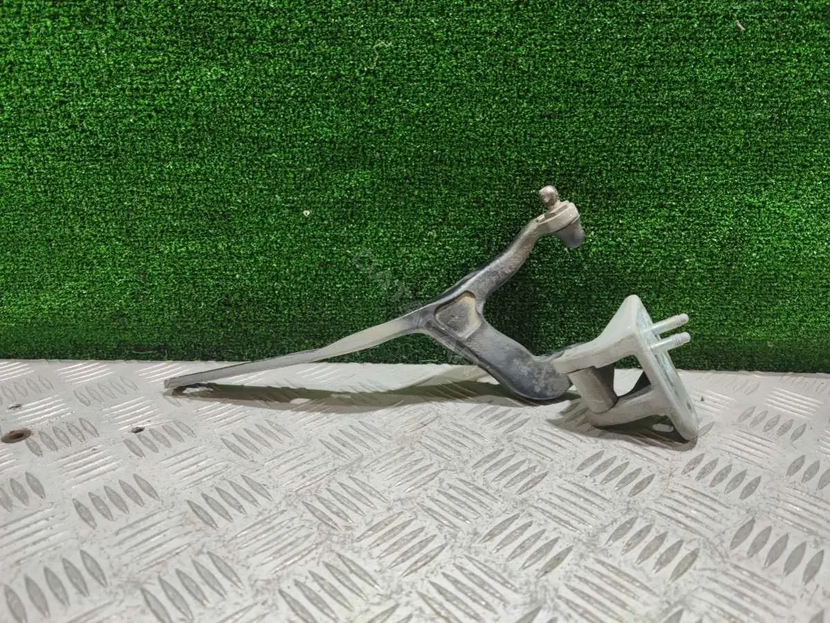 Петля крышки багажника 65251908