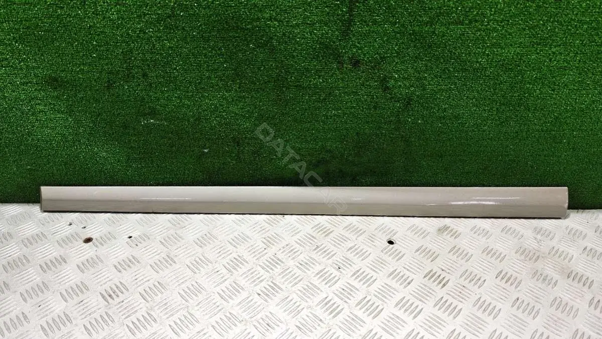 Молдинг двери A2036902262
