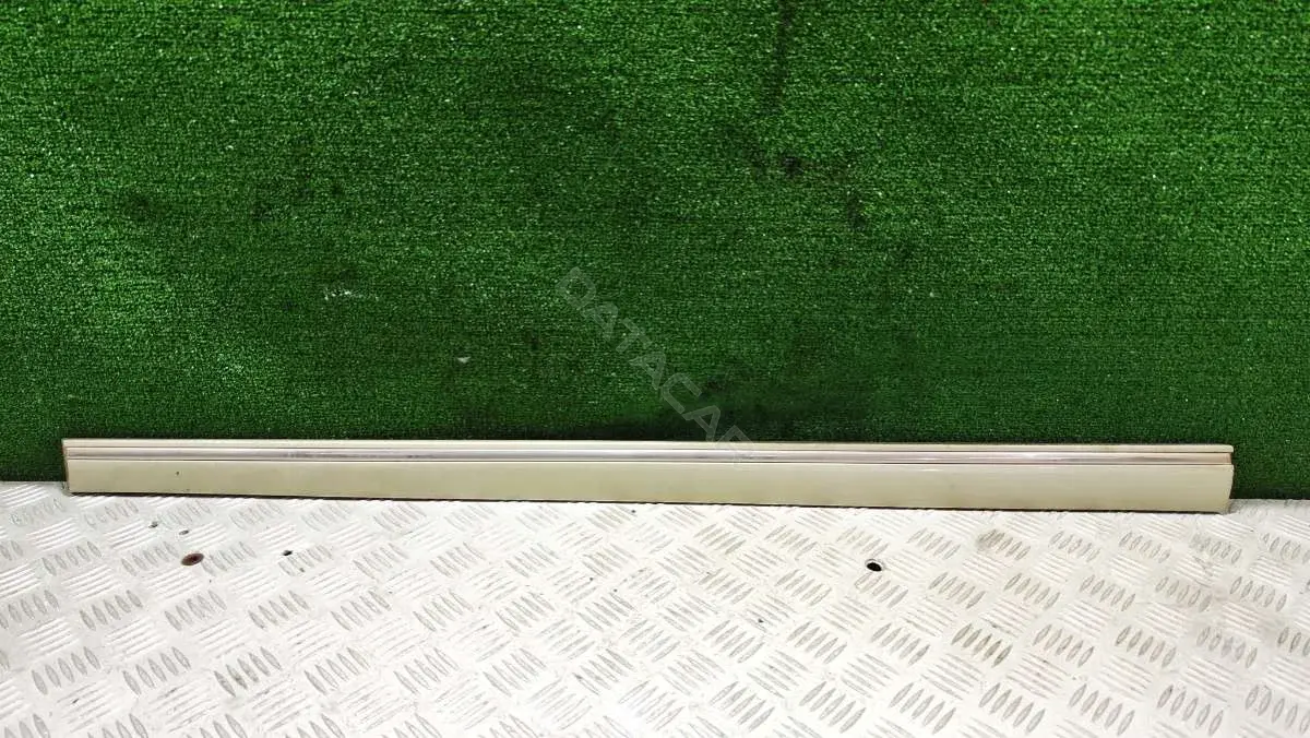 Молдинг двери A2036904962
