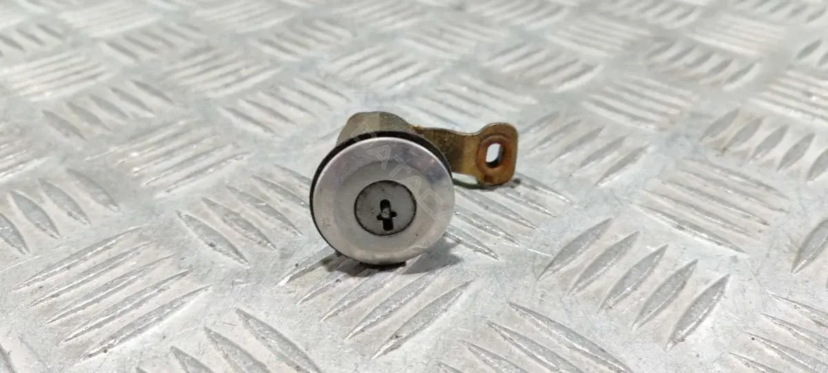Личинка замка двери 66012238