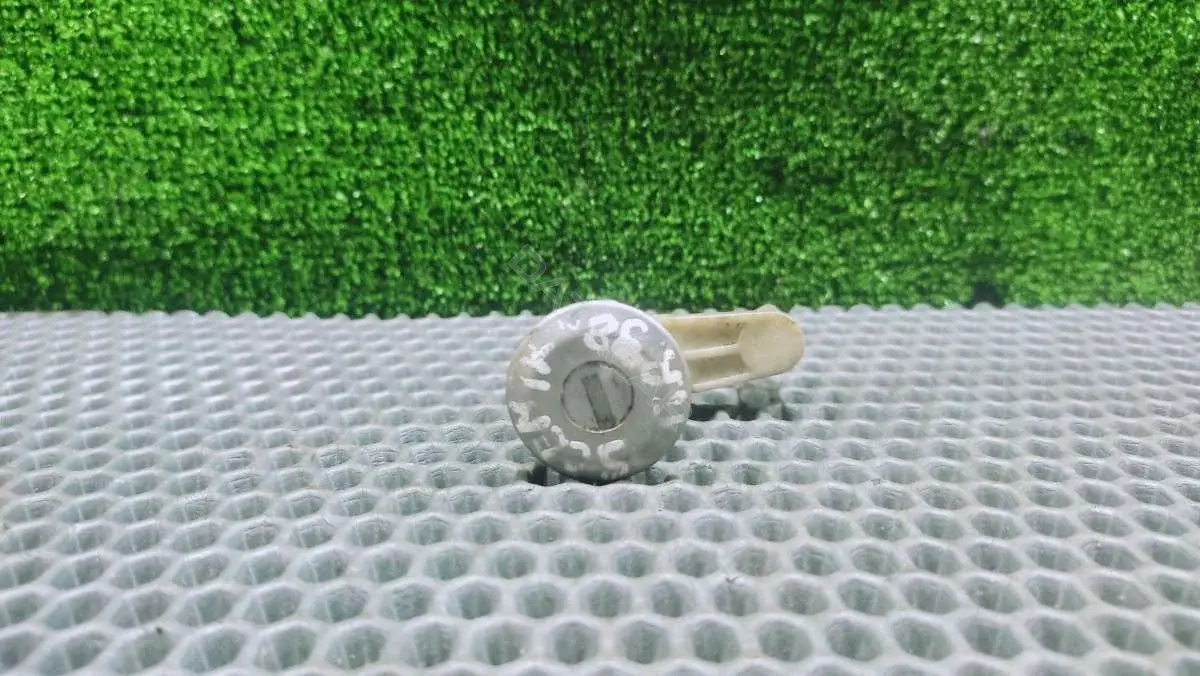Личинка замка двери 500375