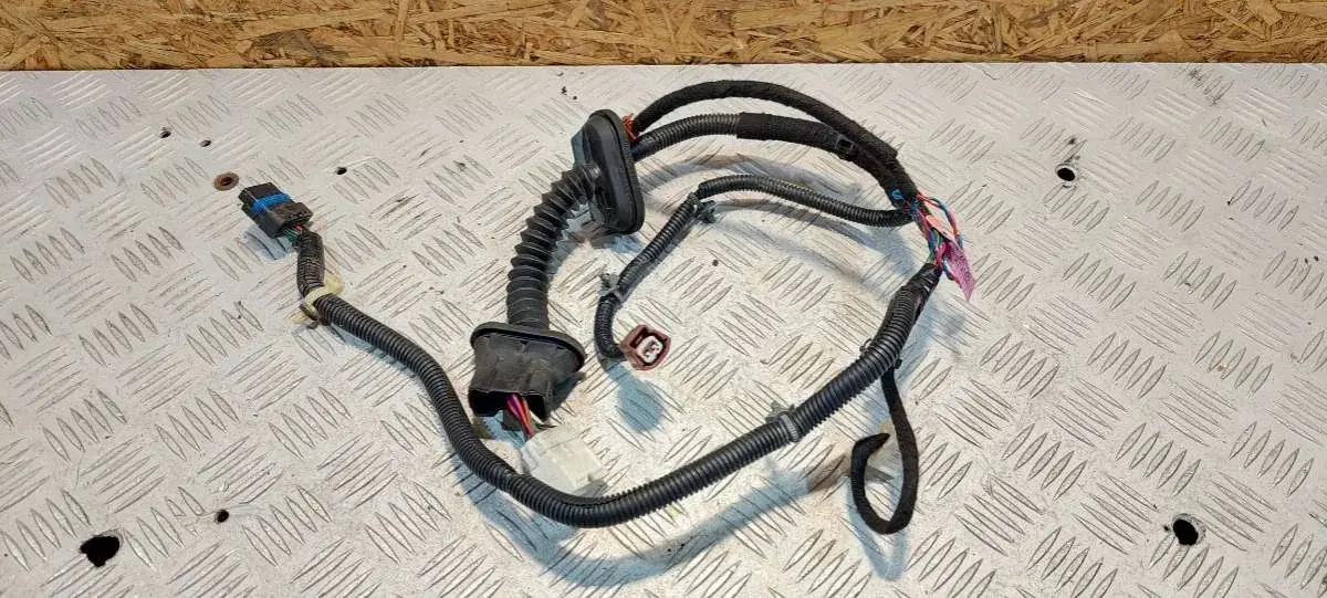 Проводка двери 24126CC000