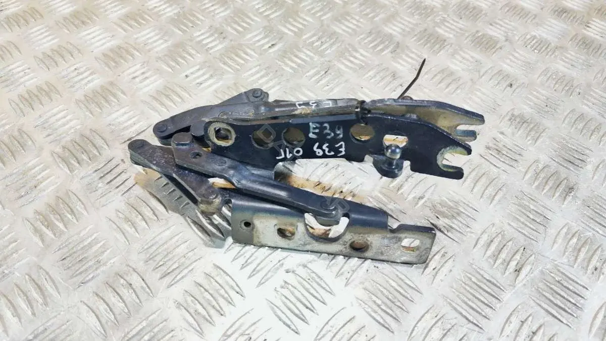 Петля капота 60537919